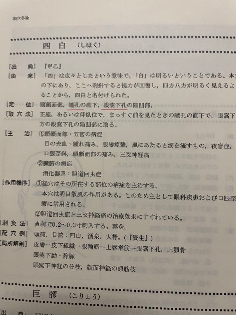 針灸学　まとめ売り
