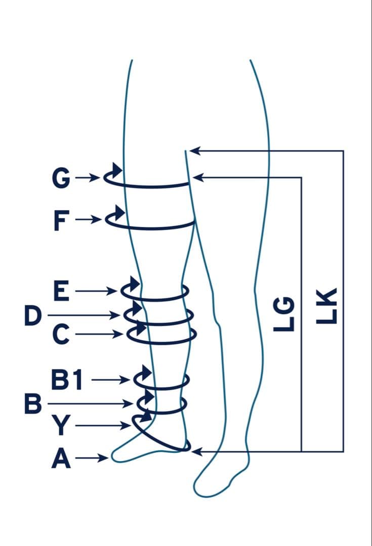 【新品】弾性ストッキング　ベラバー2　ジョブスト