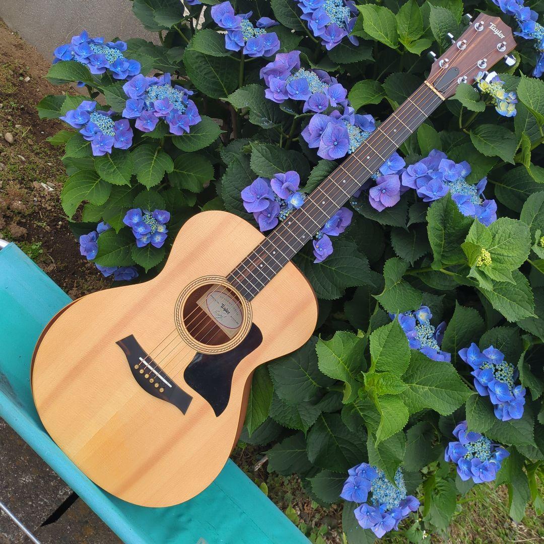 Taylor Academy 12e エレアコ中古