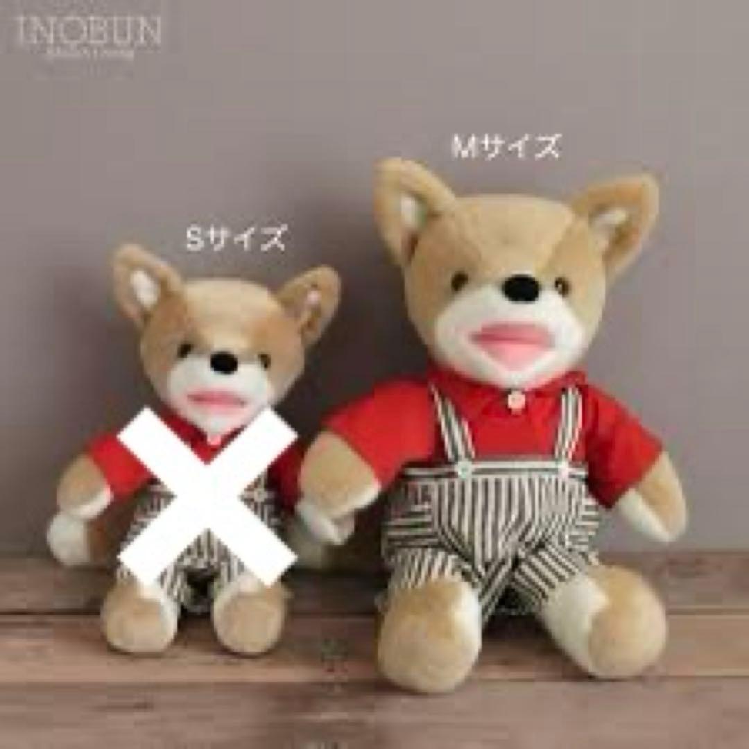 こん ぬいぐるみ Mサイズ こんとあき