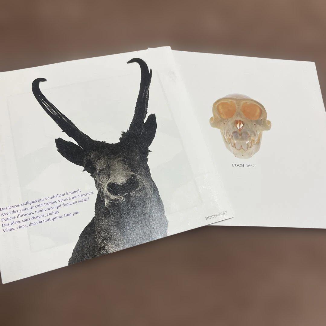 通常盤 氷室京介 I・DE・A イデア