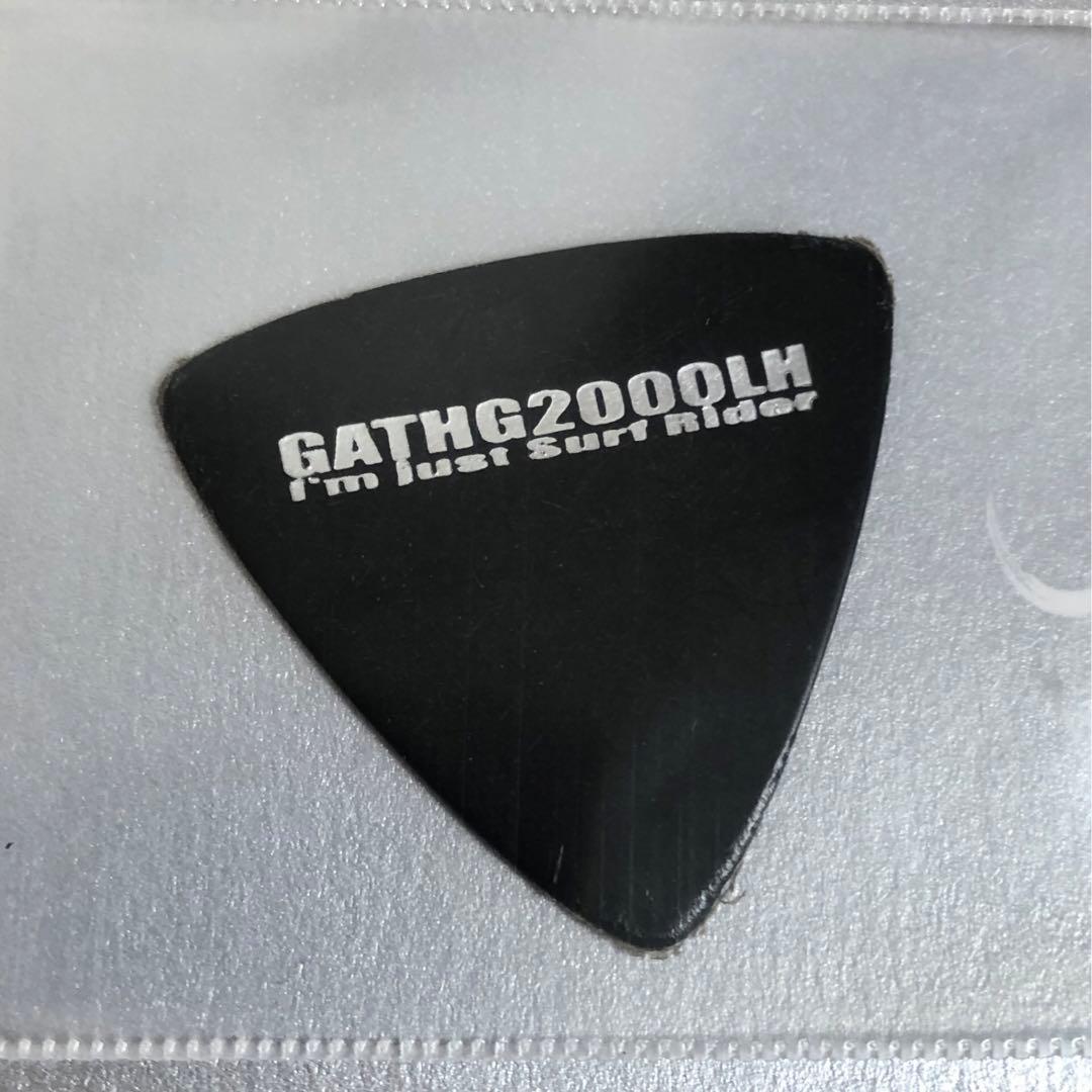 HISASHI 本人使用 ピック