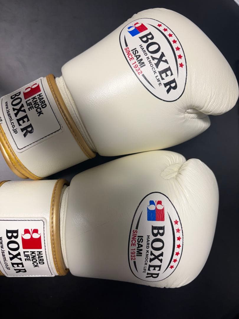 ISAMI BOXERボクシンググローブ 本革 10オンス