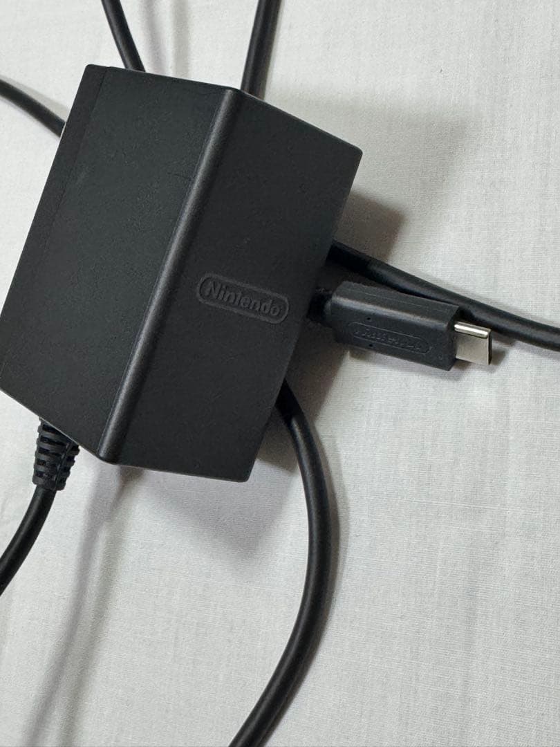 Nintendo Switch Lite ブルー 本体　本体ケース　充電器