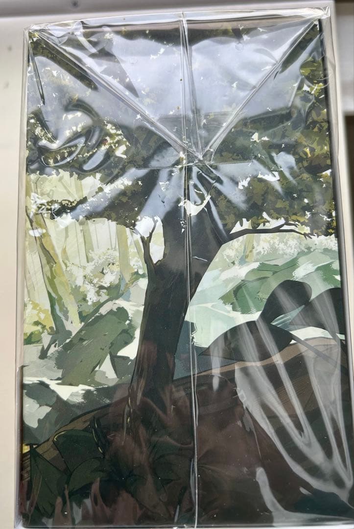 メルヘンフォーレスト 限定BOX Switch フィギュア付 未開封