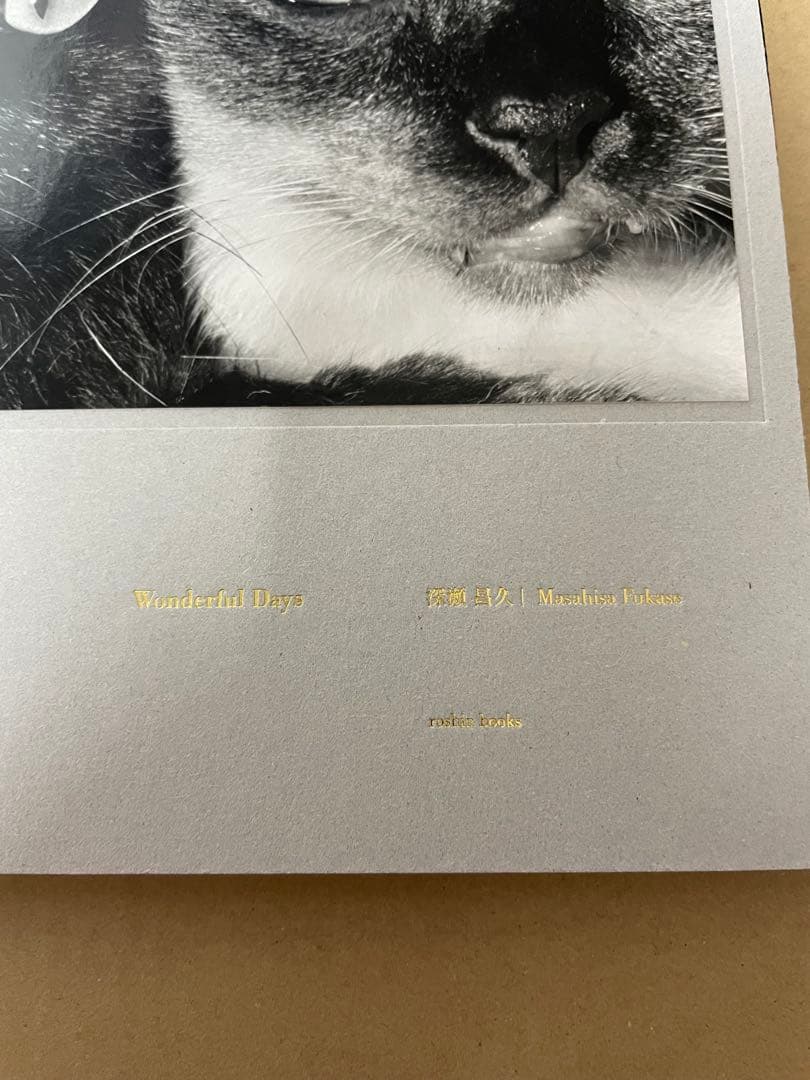 深瀬昌久 写真集 Wonderful Days special edition
