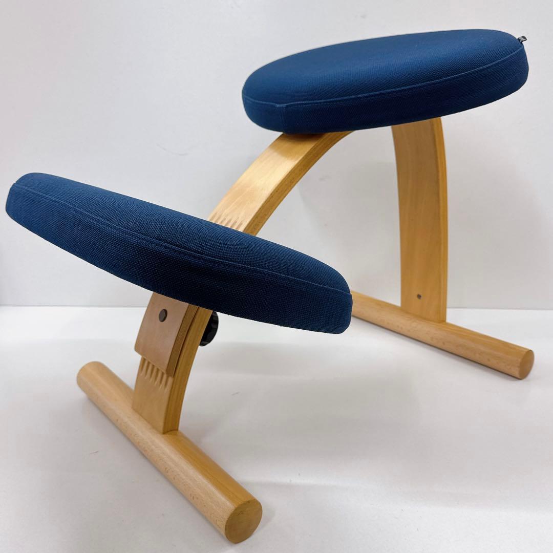 Balans Easy バランスチェア サカモトハウス ネイビー カバー付