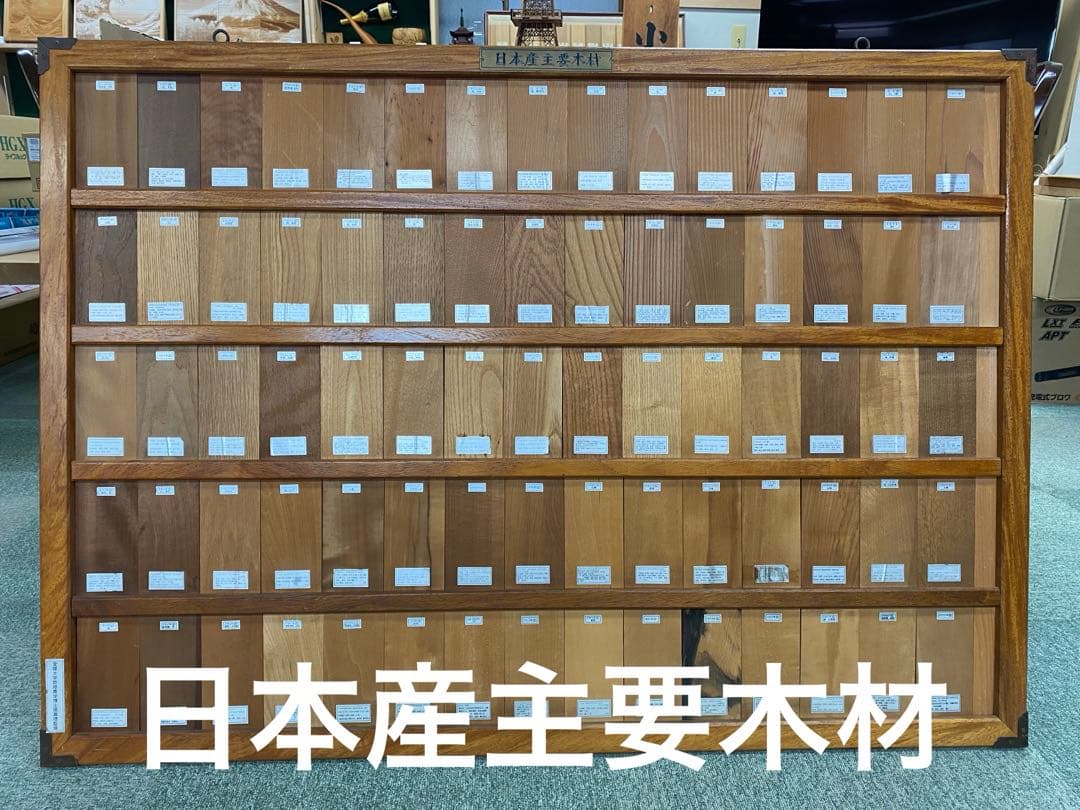 木材標本　3種【日本国産・外国産・熱帯産】