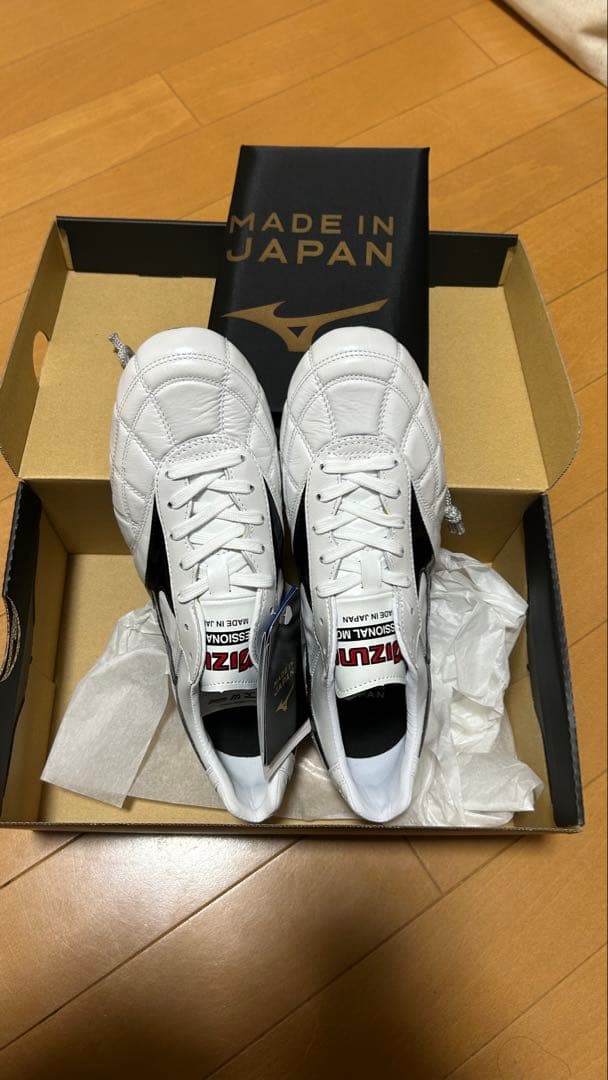 モレリア2 クロスステッチ　26.5