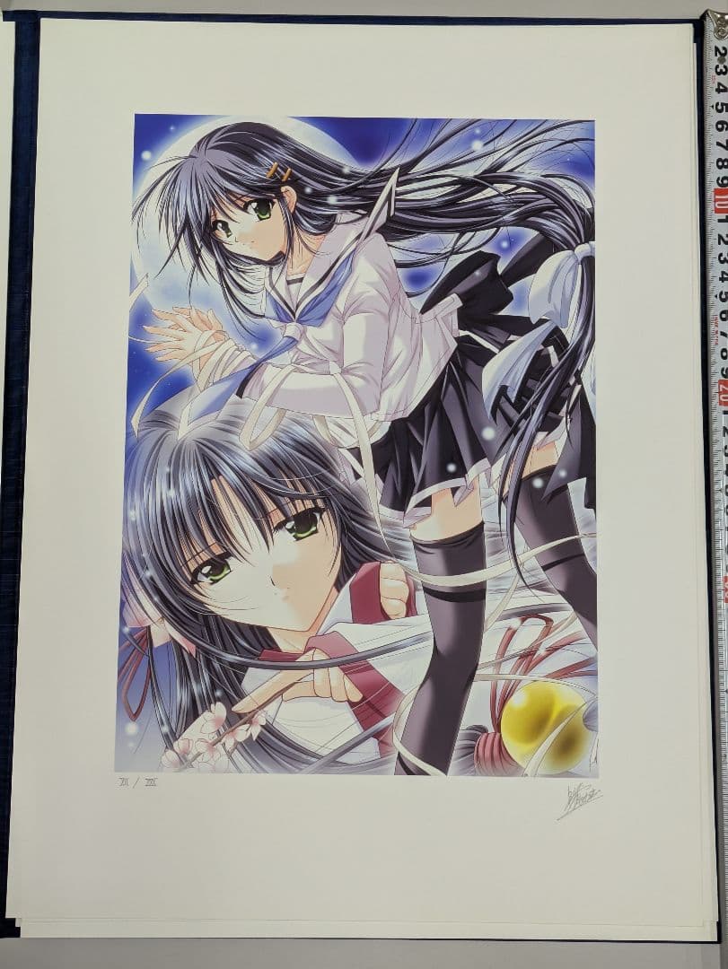 M&Iアート 山本和枝 IZUMO コレクターズエディション