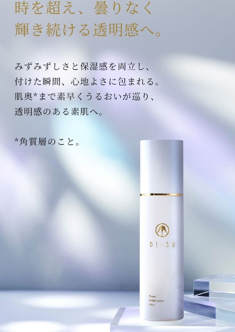 新品未使用BI-SUインフィシアルホリデー2025 定価55,000円　冊子付き