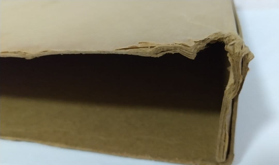 ジャン・ブルッセルマン Jean BRUSSELMANS 画集 全作品目録 洋書