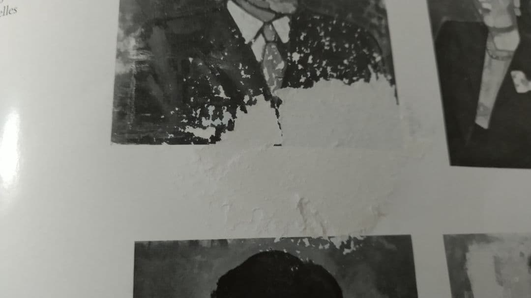 ジャン・ブルッセルマン Jean BRUSSELMANS 画集 全作品目録 洋書