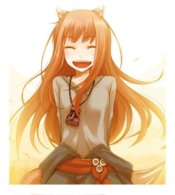 狼と香辛料　キャンバスボード　新品未開封【祝アニメ２期制作決定！】