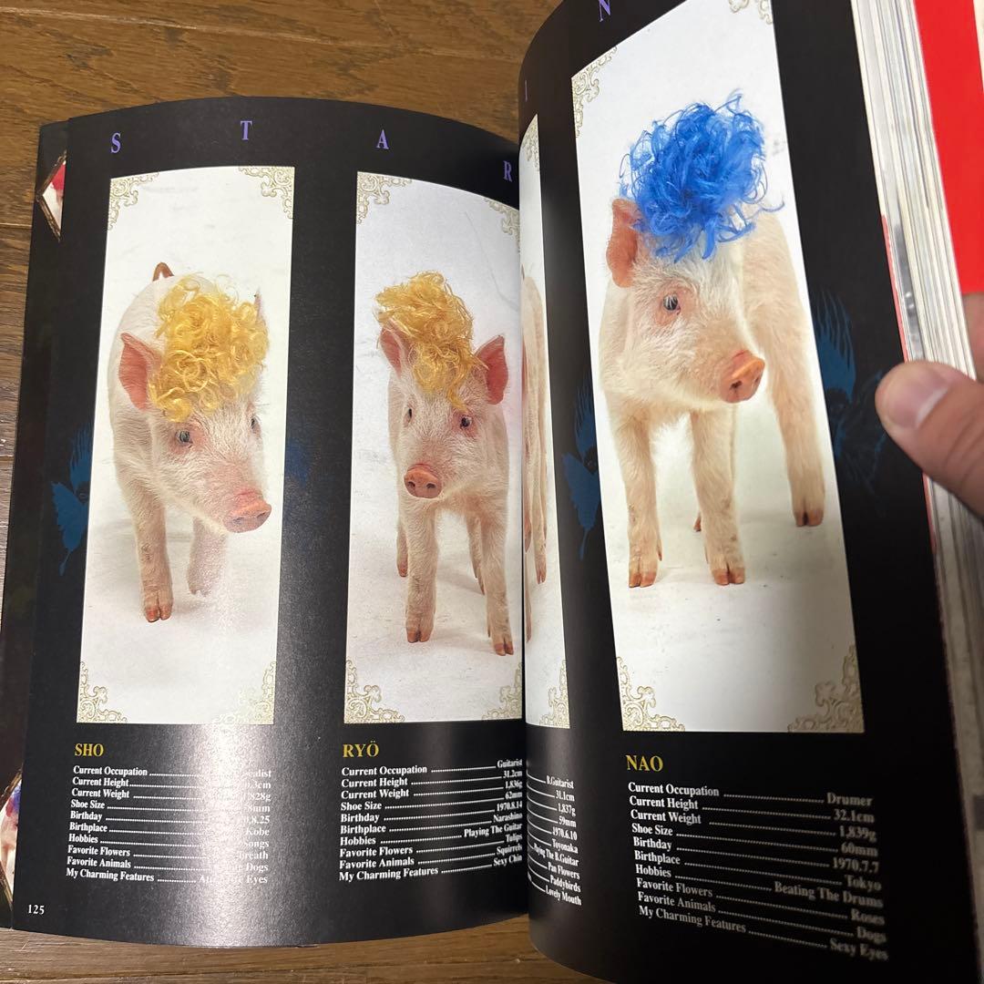 BY-SEXUAL Sexuality バイセクシャル バンドスコア 写真集