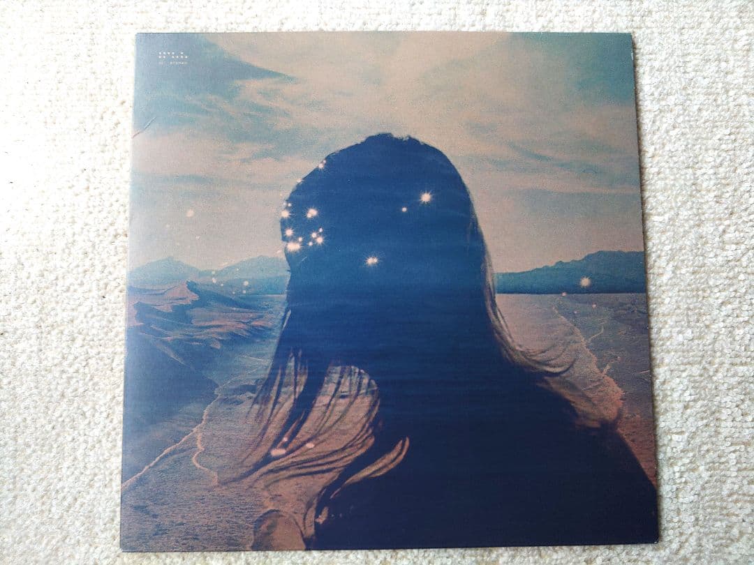 Tycho LPレコード2枚