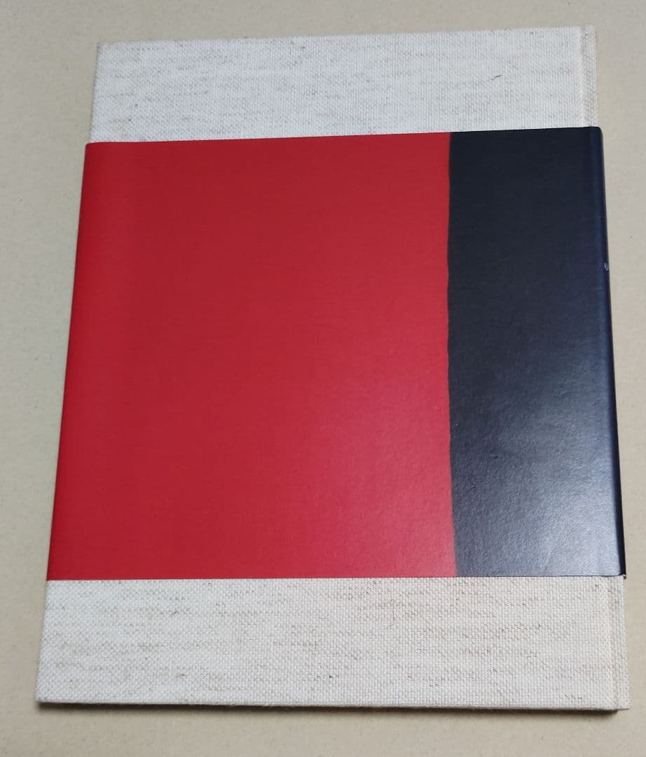 Mark Borthwick Abandom Reverie ＆ zine