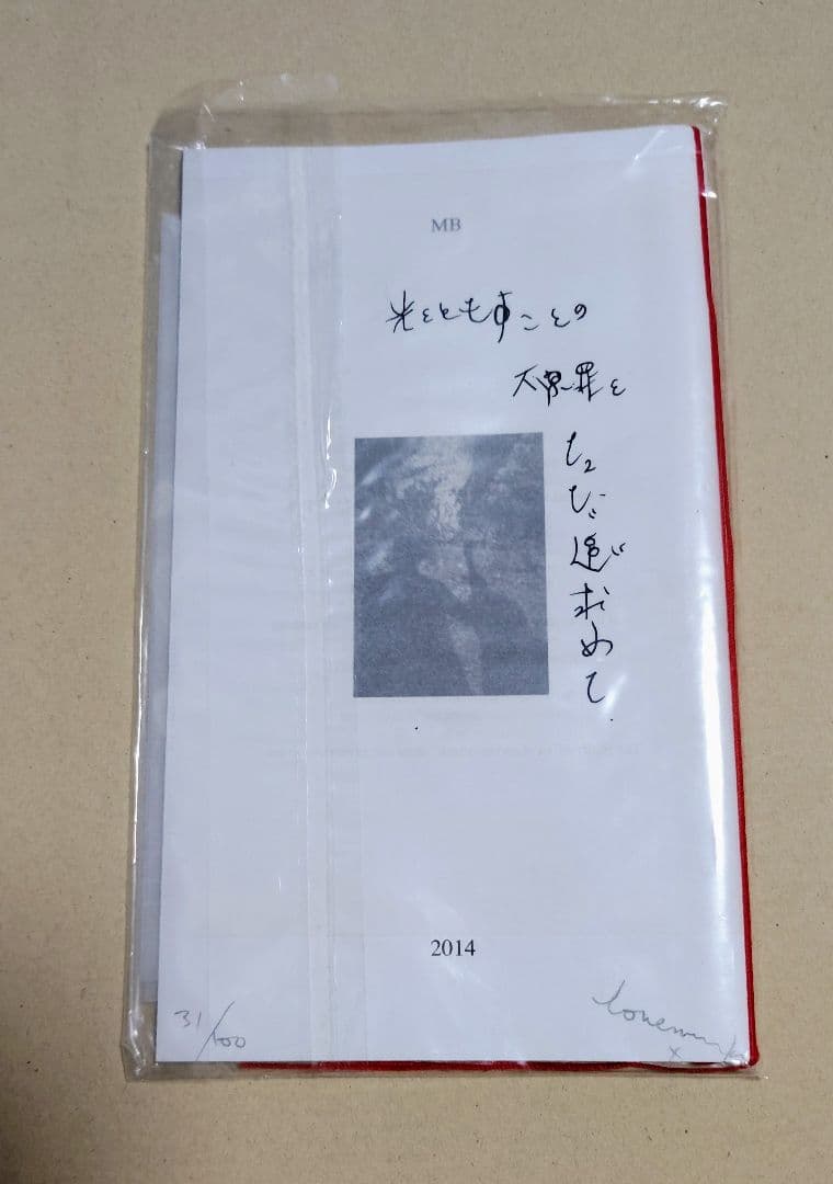 Mark Borthwick Abandom Reverie ＆ zine