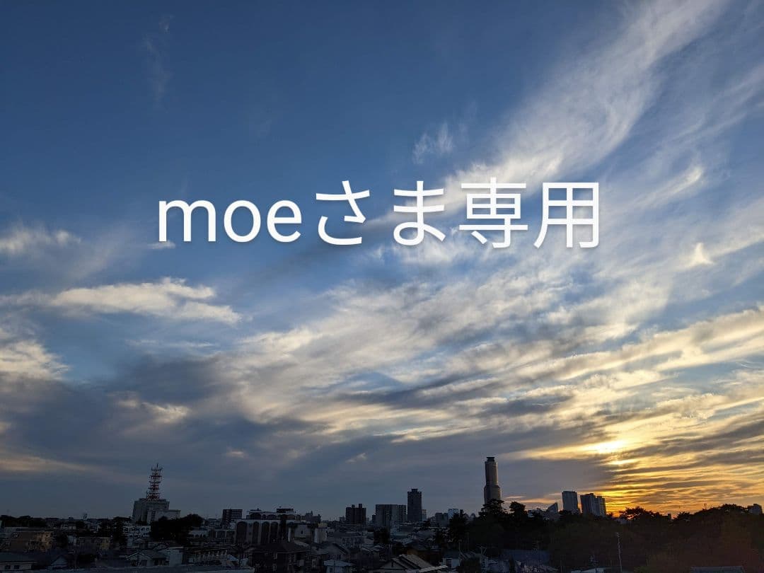 moeさま専用