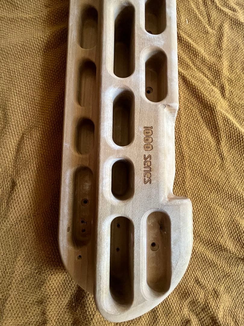 Beastmaker 1000 Series ビーストメーカー クライミング