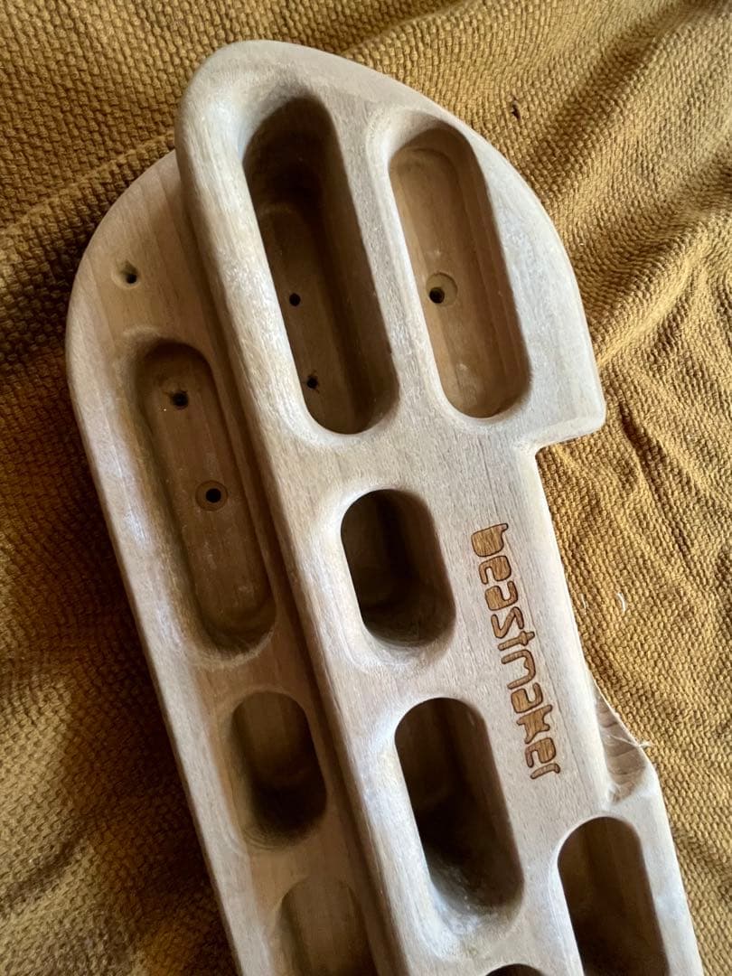 Beastmaker 1000 Series ビーストメーカー クライミング