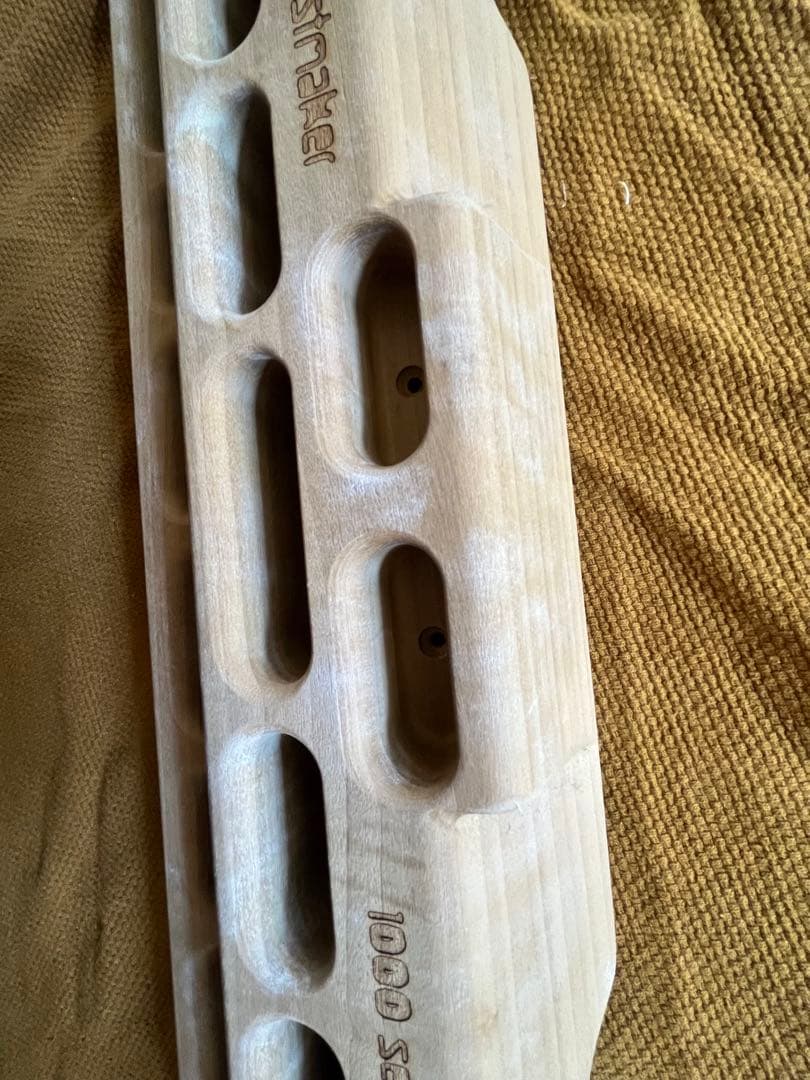 Beastmaker 1000 Series ビーストメーカー クライミング