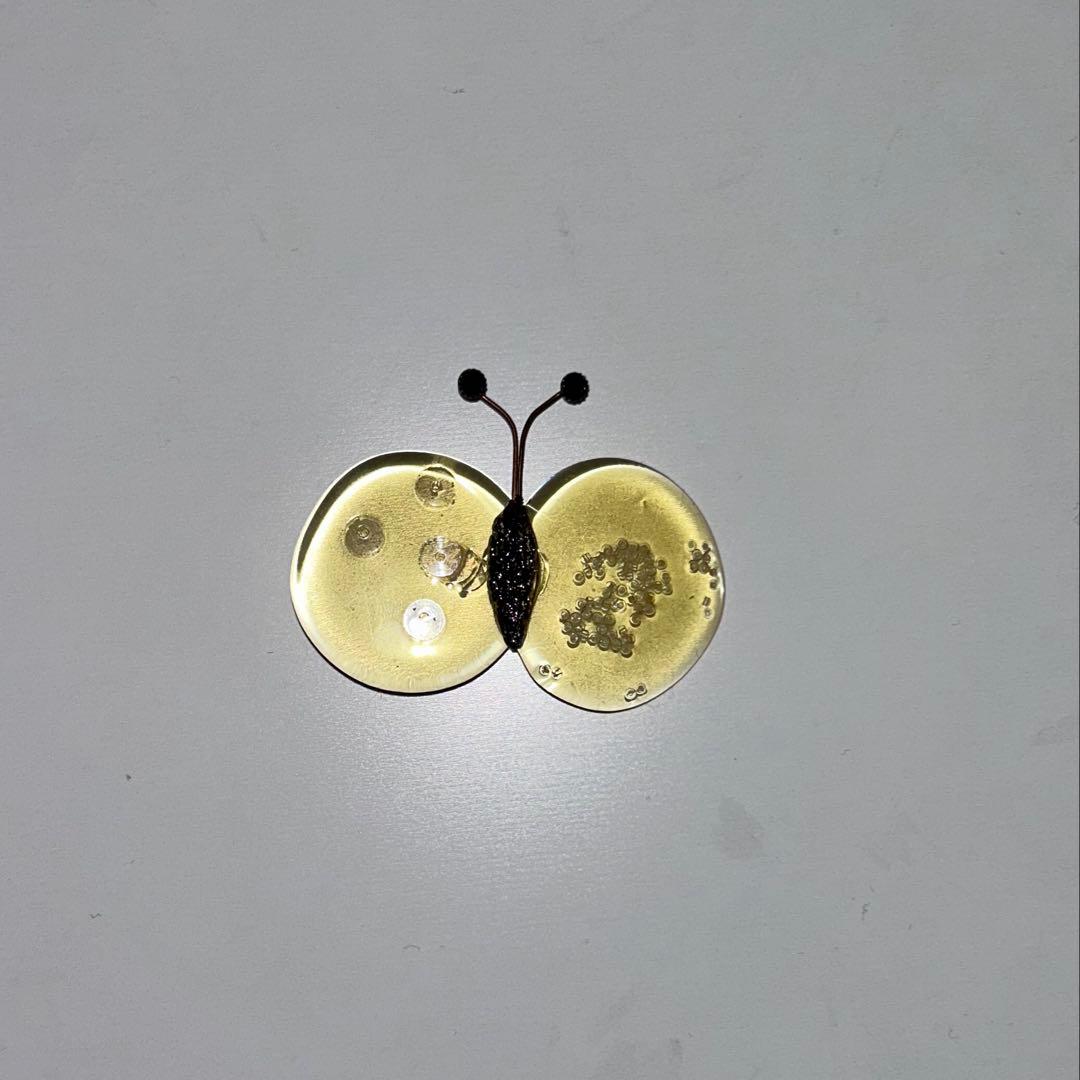 ミナ ペルホネンちょうちょ　ブローチ