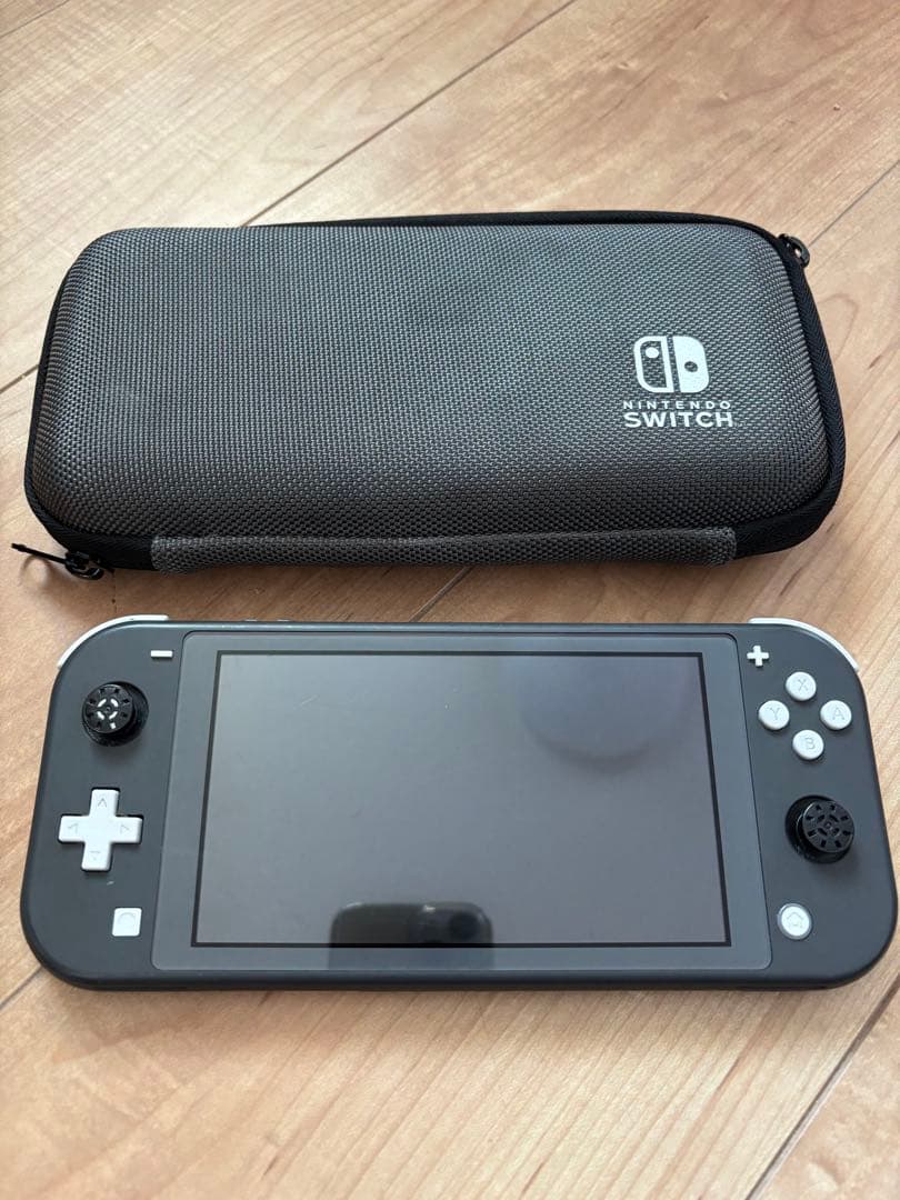 Nintendo Switch Lite グレー キャリングケース付ジャンク