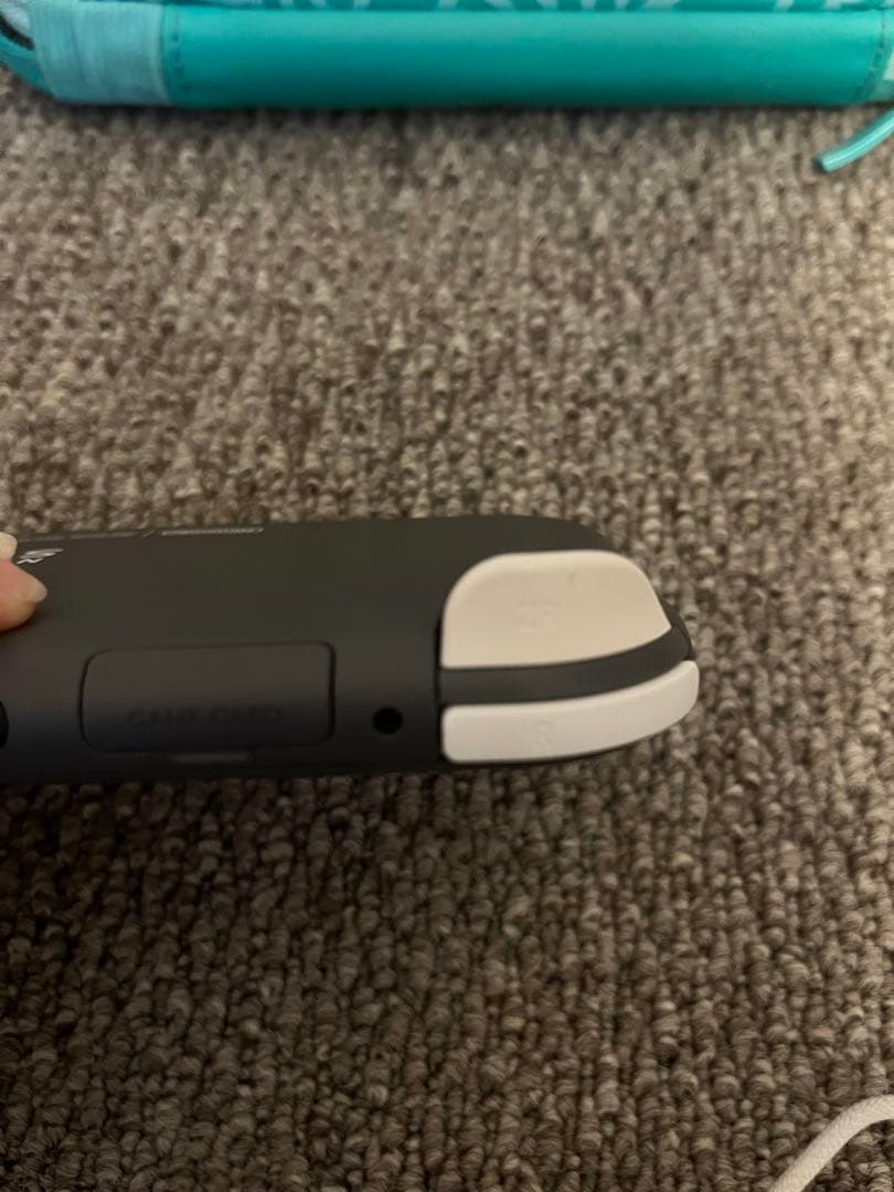 Nintendo Switch Lite 本体、充電器、ケース付き