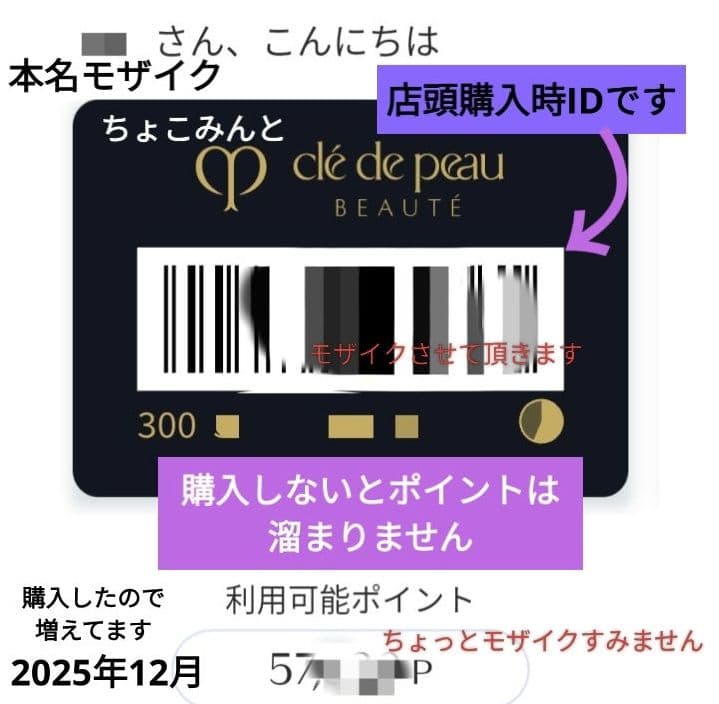 新品✨正規店購入 クレドポーボーテ タンプードルエクラⅡ オークル10 レフィル