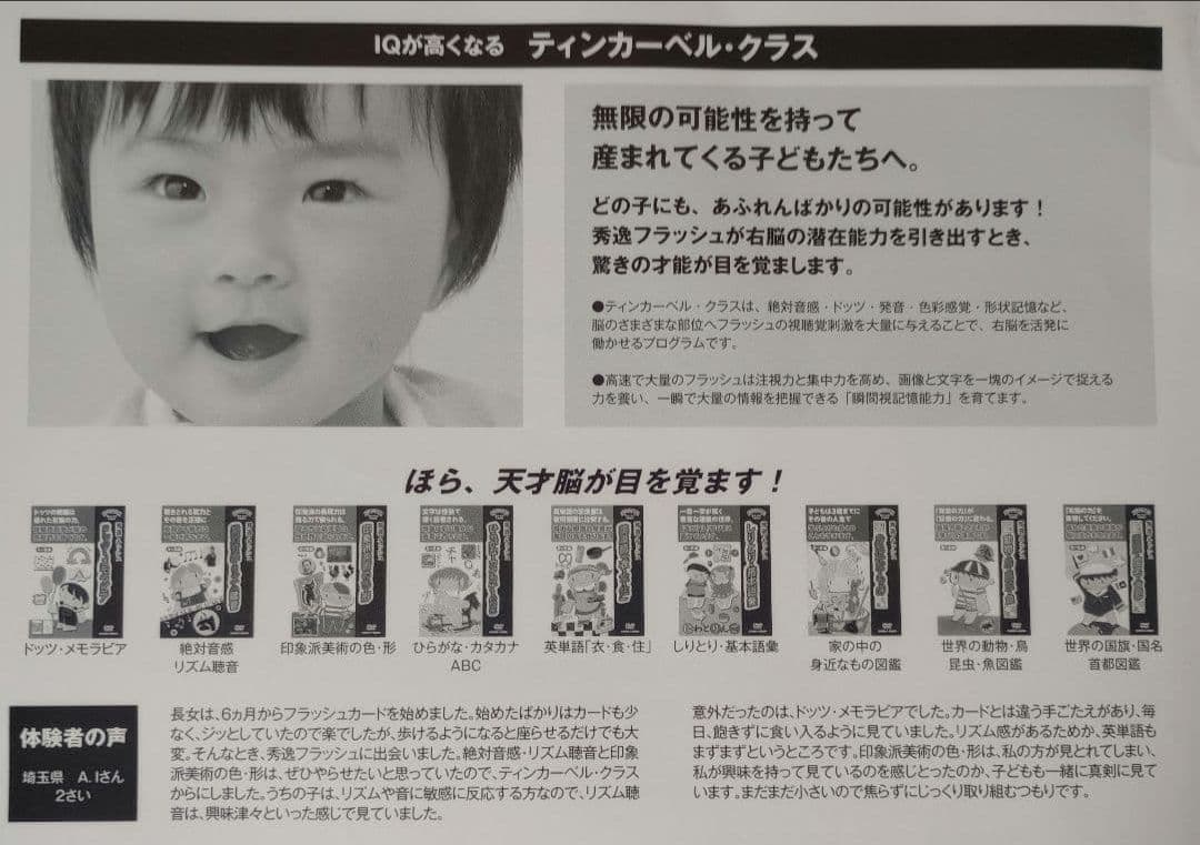 【秀逸フラッシュDVD】ティンカーベル９巻セット☆取り組みノート付き☆星みつる☆