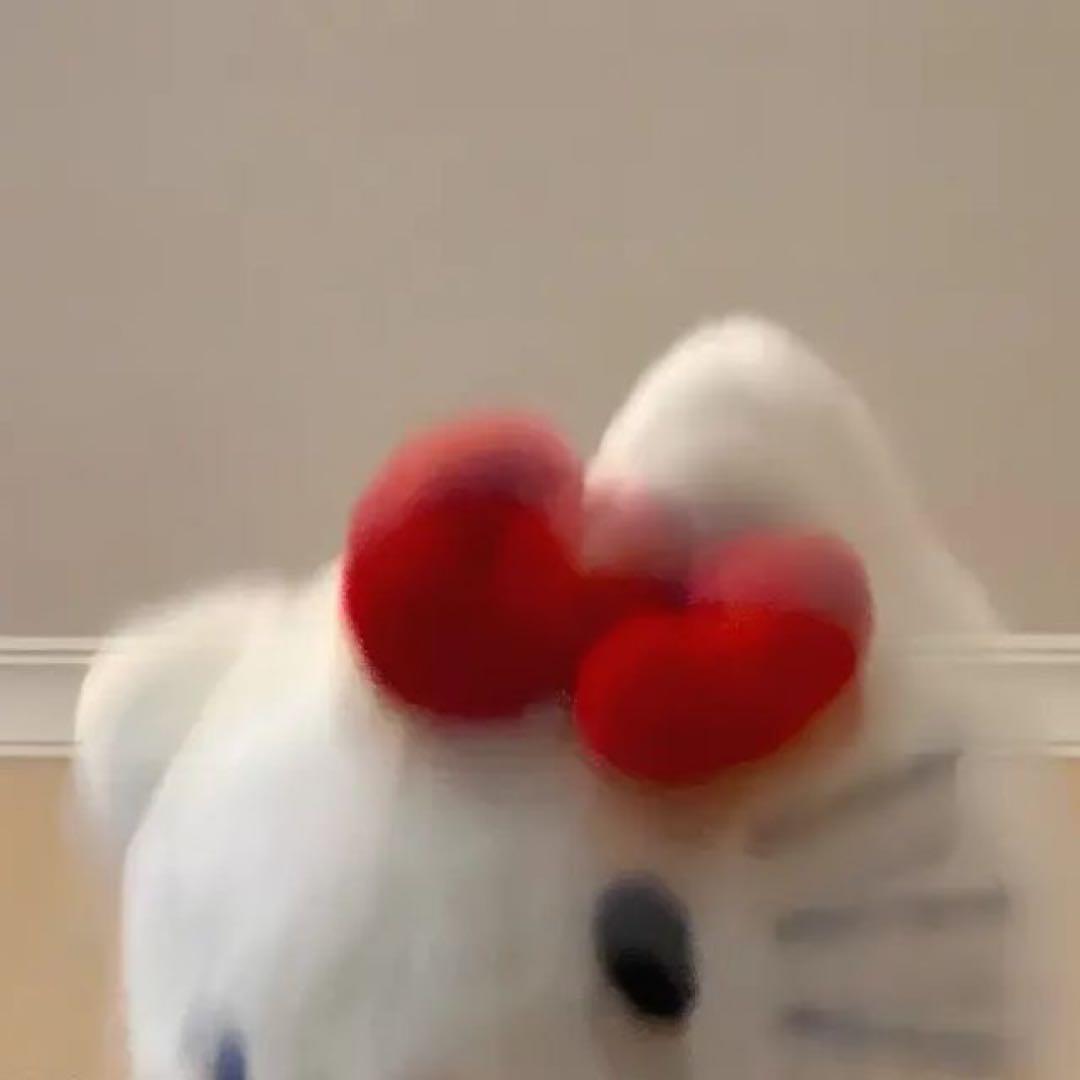 ハローキティ ぬいぐるみジャケット