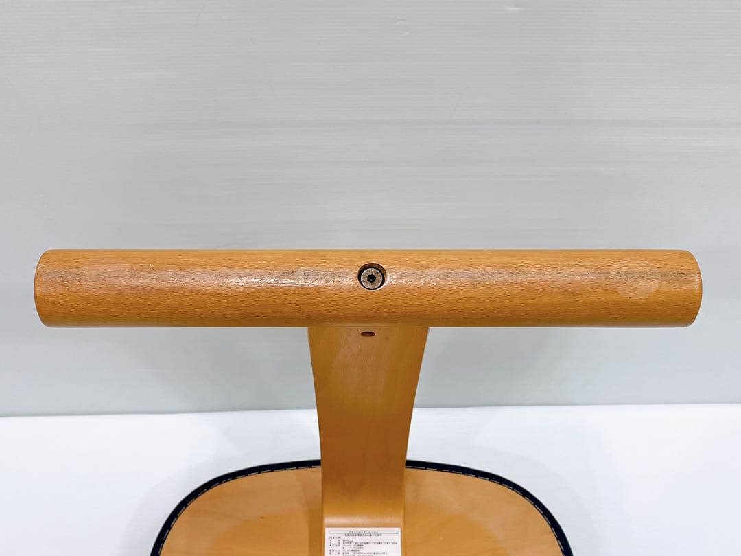 ゆーた撥水カバー付 サカモトハウス バランスチェア イージー