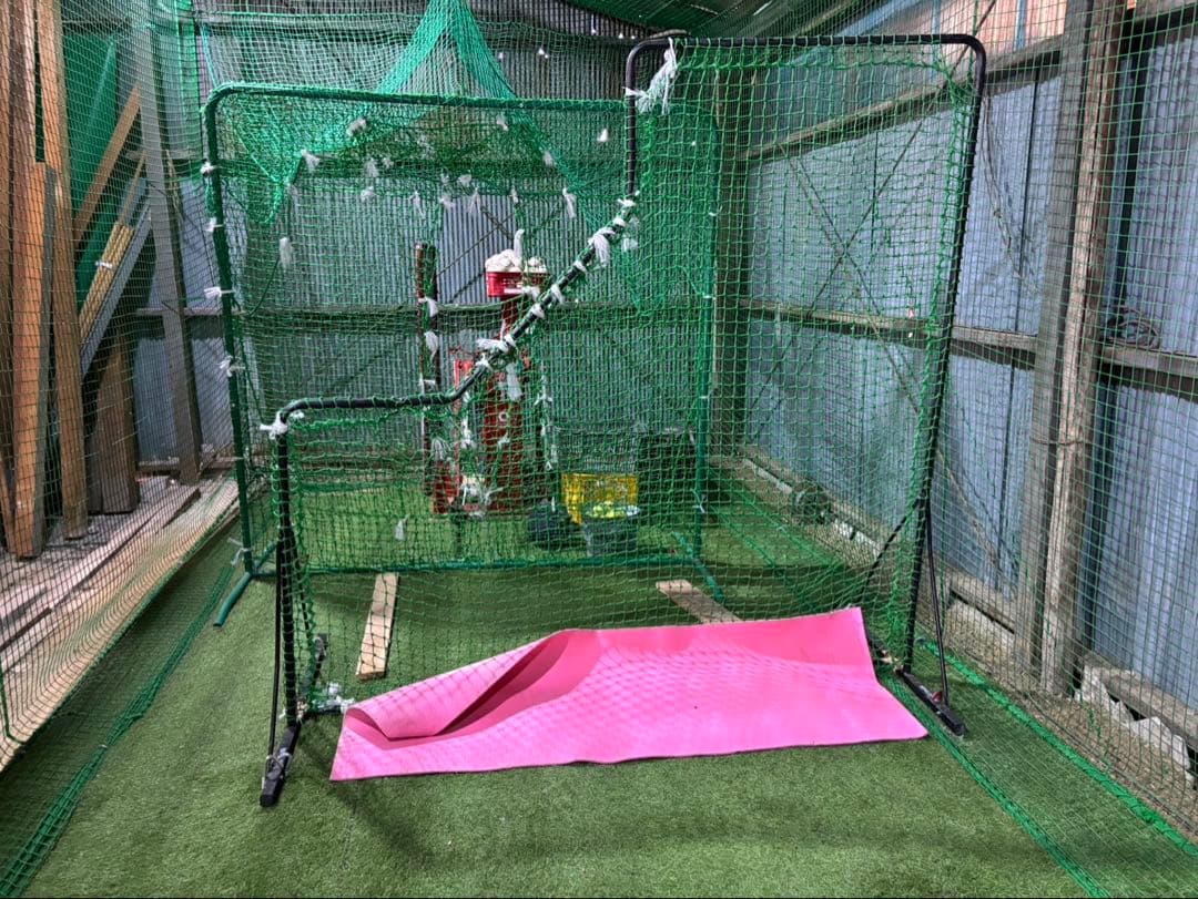 本格　とりかご　バッティングゲージ　硬式　練習　室内練習場　ネット　人工芝　打撃