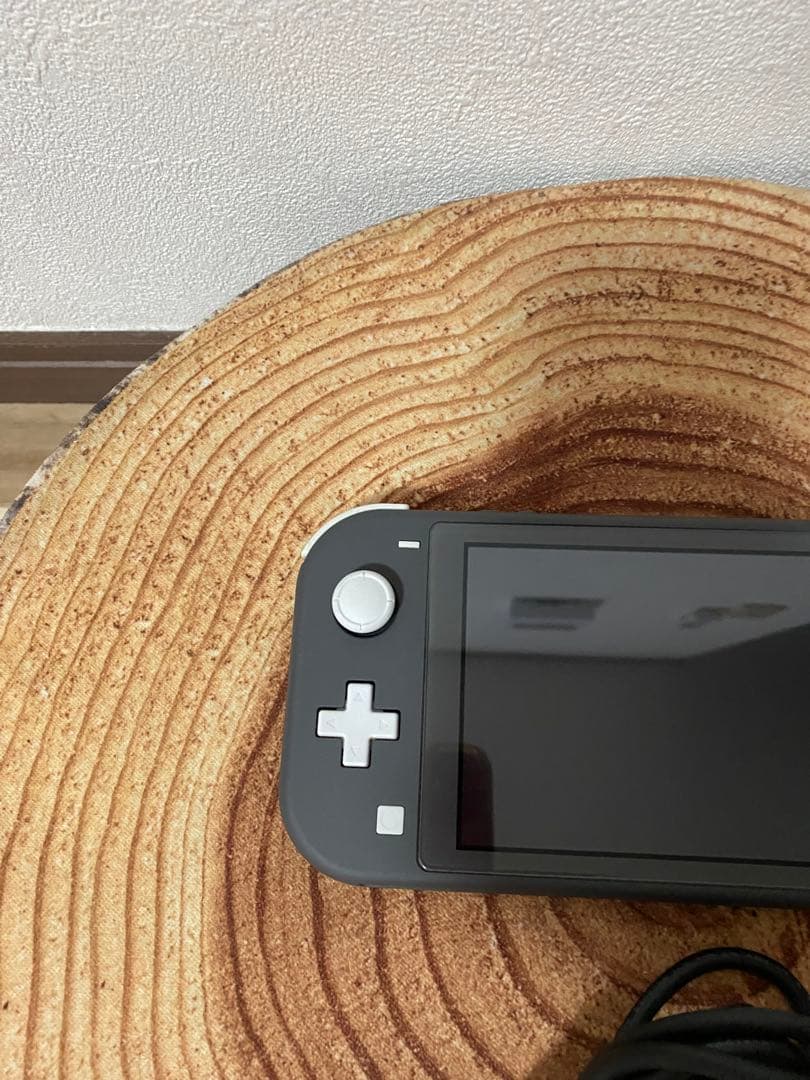 海外版　Nintendo Switch Lite グレー　本体