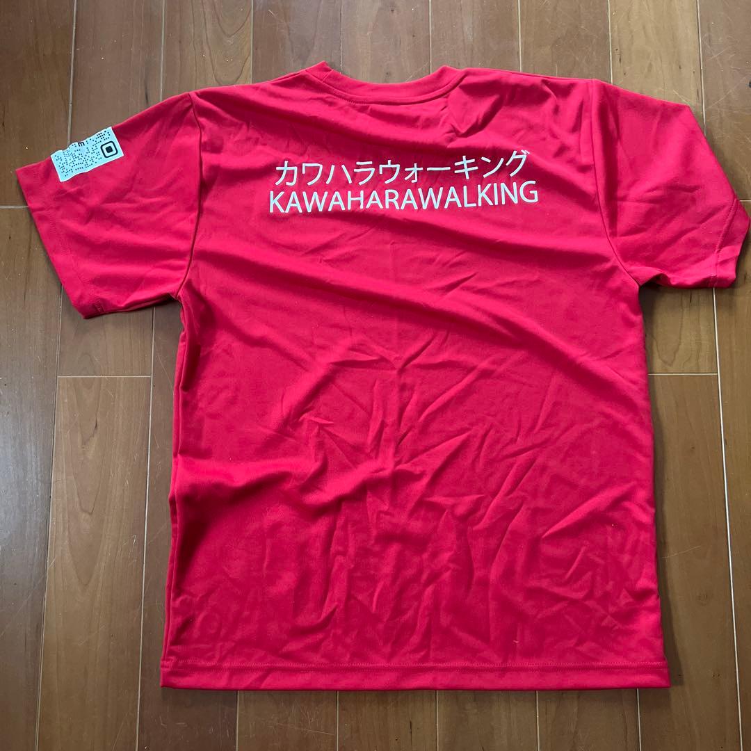 カワハラウォーキング　5点セット