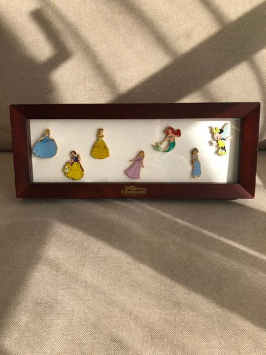 ディズニー　ピンバッジ　PinCollecting プリンセス　額入り