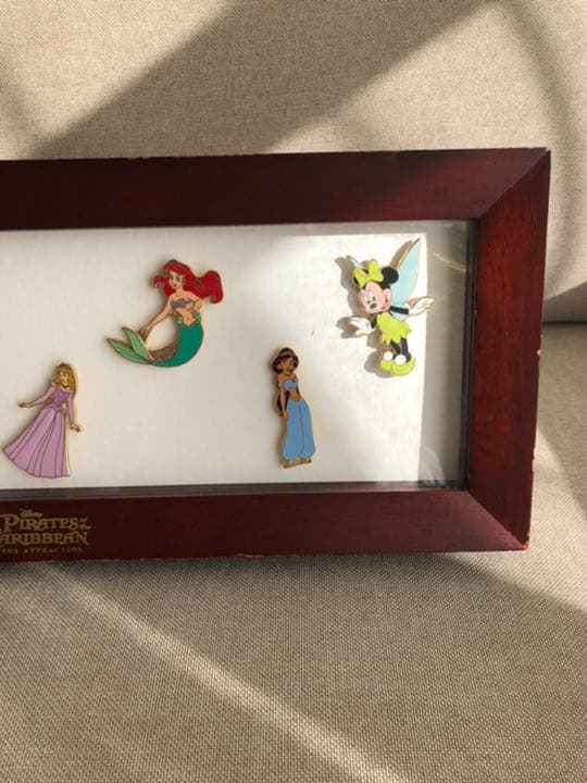 ディズニー　ピンバッジ　PinCollecting プリンセス　額入り