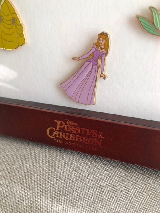 ディズニー　ピンバッジ　PinCollecting プリンセス　額入り