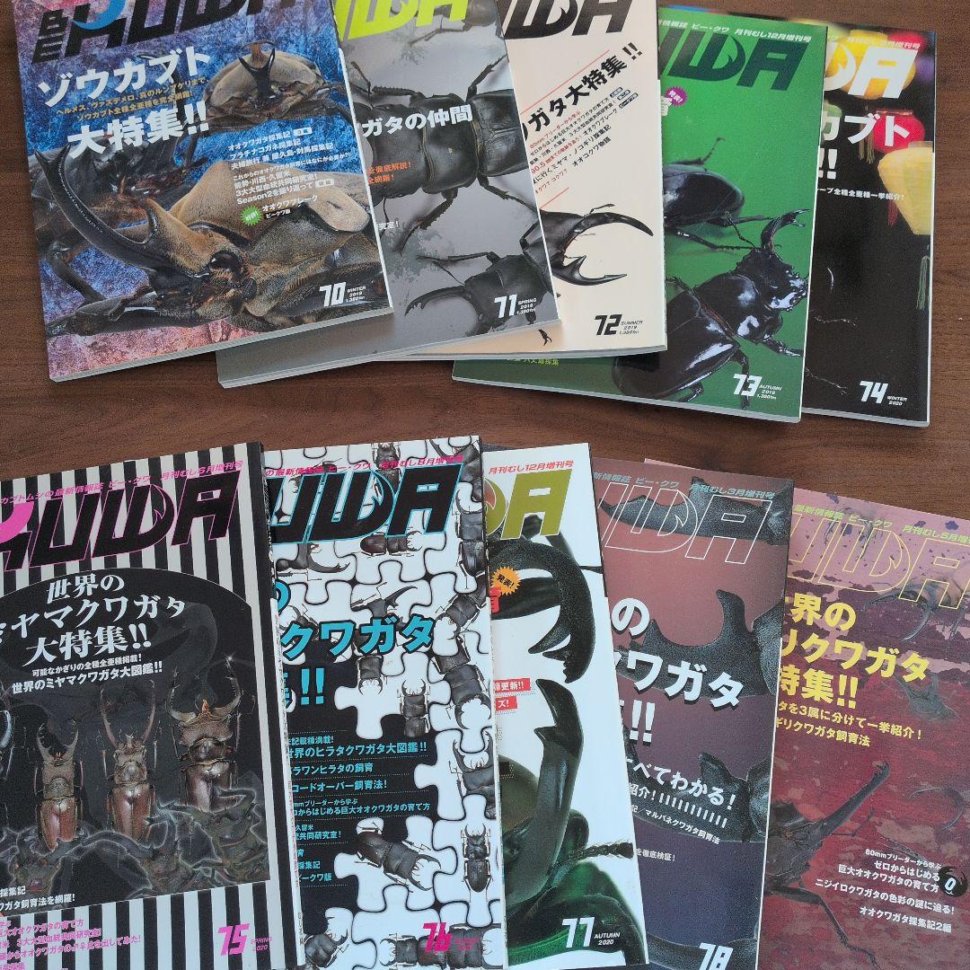 ビークワ　70〜79号　10冊まとめ売り