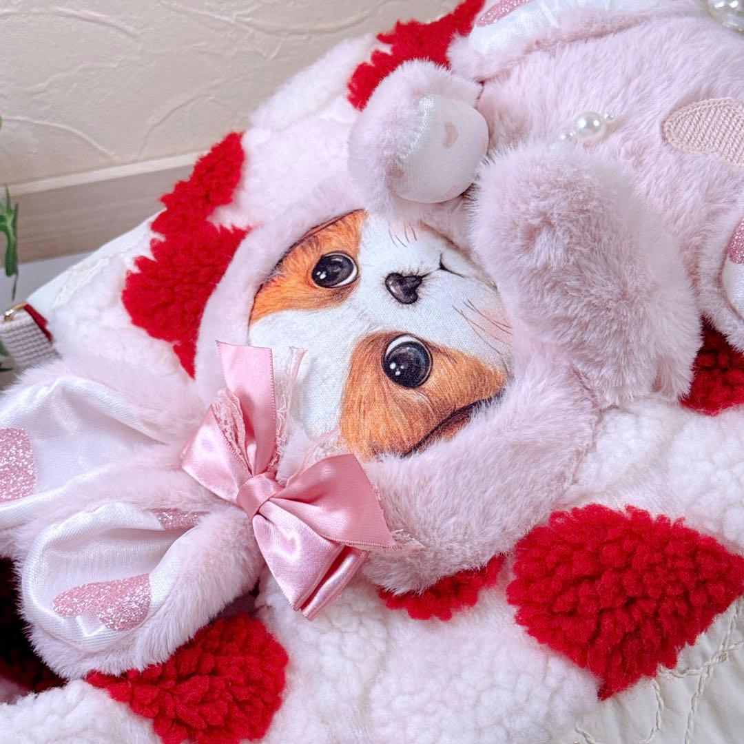 あ*き様 コヤンイサムチョン♡bigうさ着ぐるみアンコちゃんのハートのラウンドト