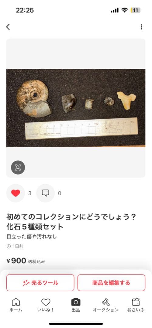 ひでさん　化石セット