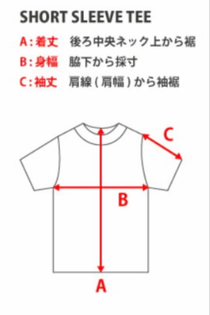 【17枚おまとめ】HANES BEEFY キッズL150-170 ネイビーブルー