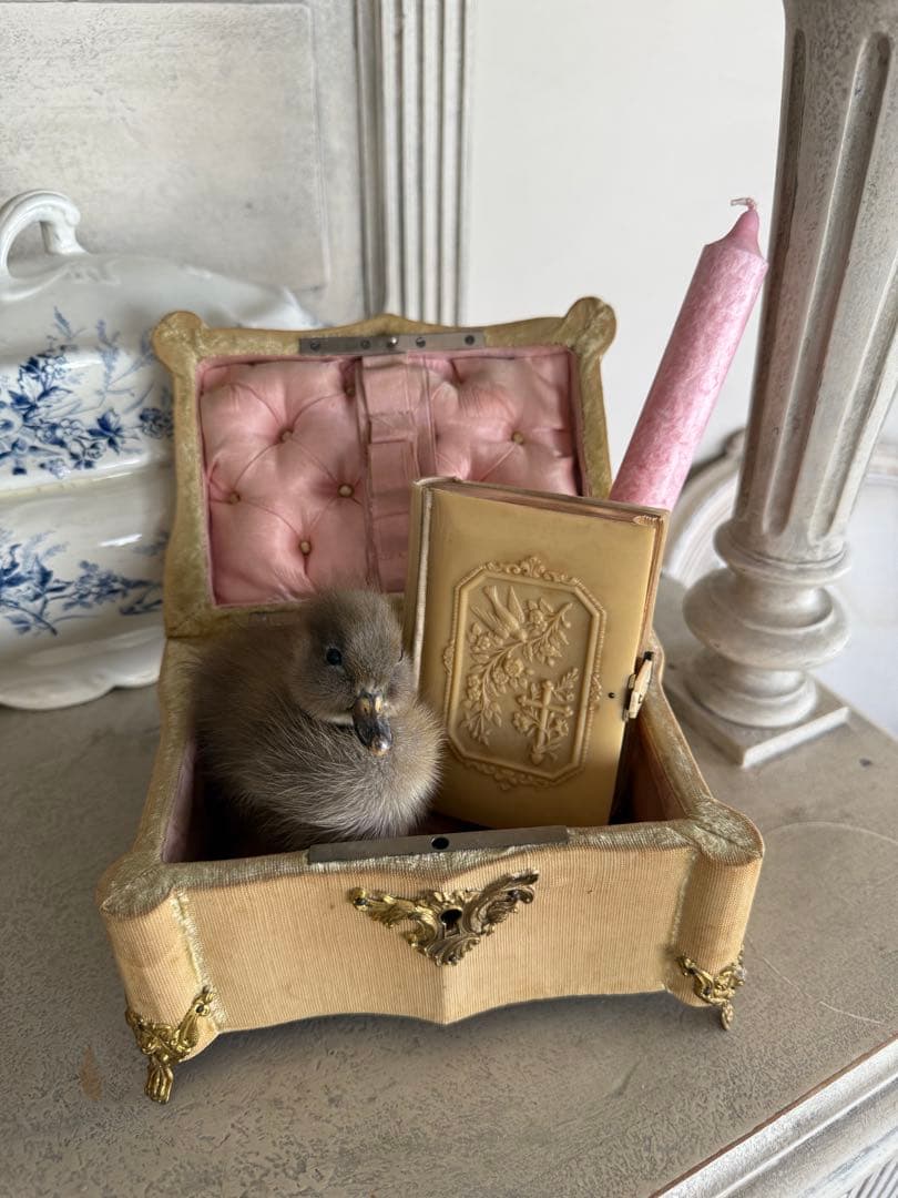 フランスアンティーク小鳥と十字架のミセル祈祷書