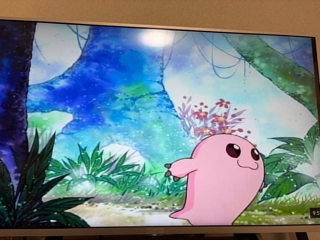 デジモンアドベンチャー DVD BOX セット