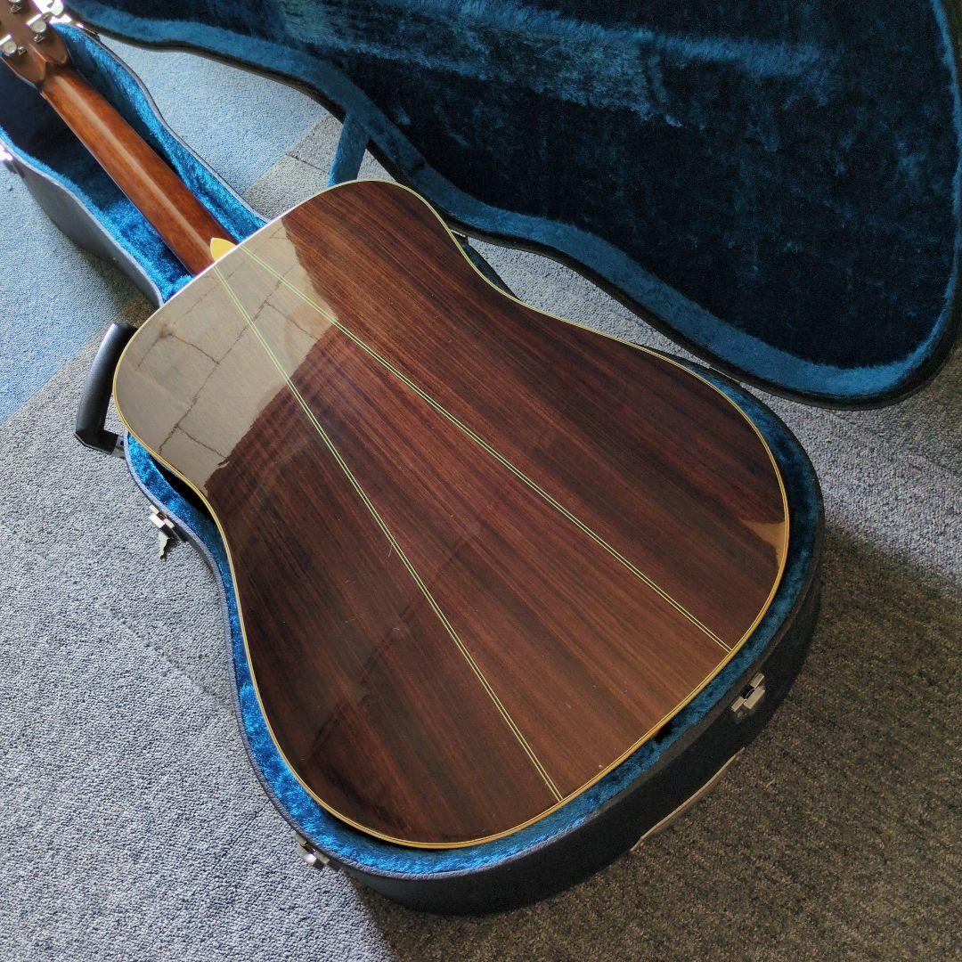 ARIADreadnought アコースティックギター