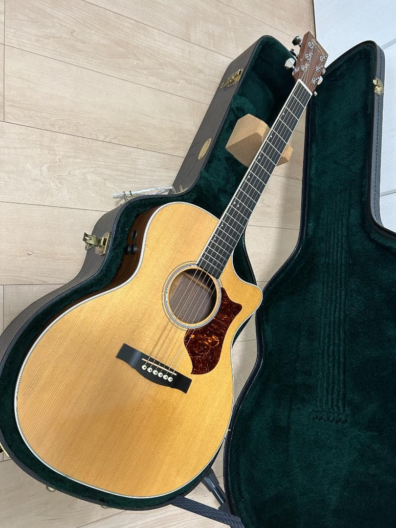 Martin マーチン　アコースティックギター Fishman F1 Aura