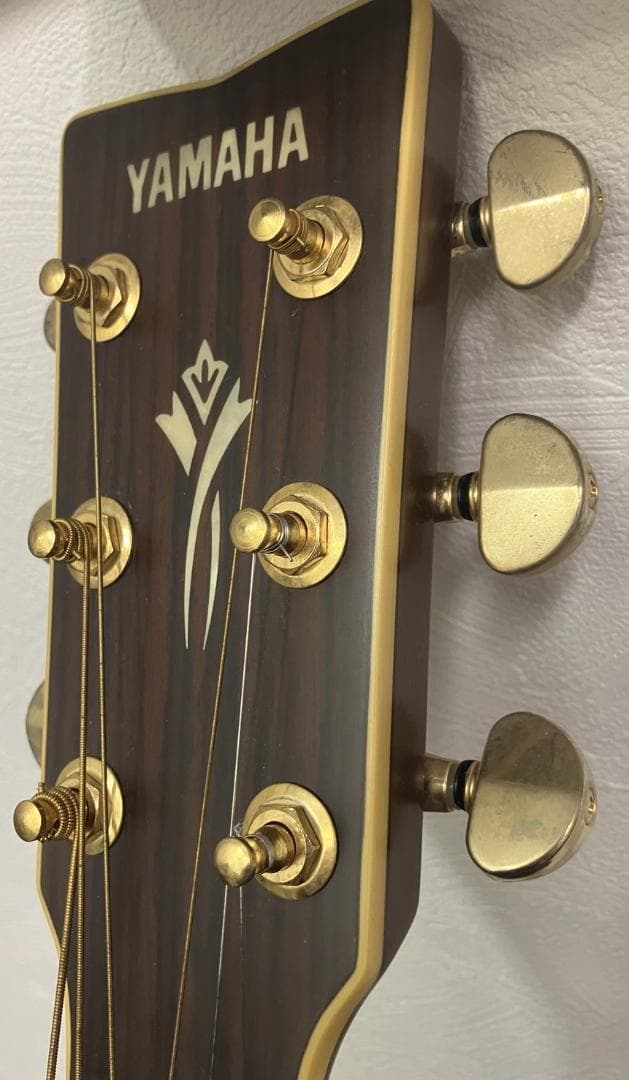 Yamaha　DW-8 VRS アコースティックギターとケースセット