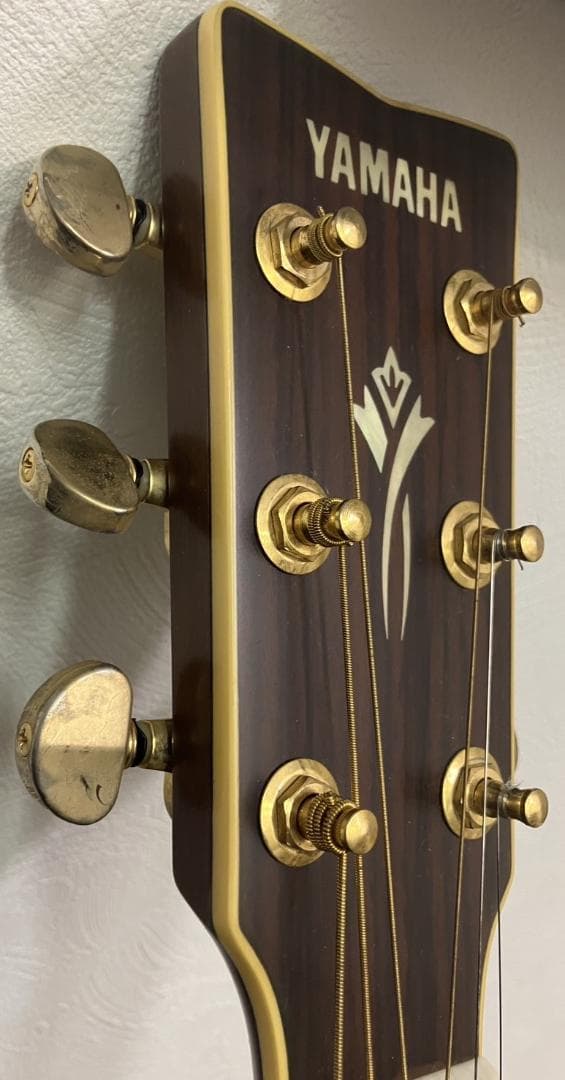 Yamaha　DW-8 VRS アコースティックギターとケースセット