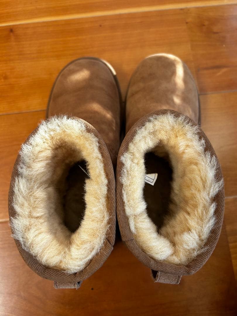 アグ　クラシックミニⅡ 23センチ　チェスナット